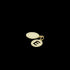 Congo Coin